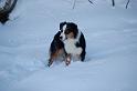 DSC_0332 (2)